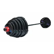 Штанга олимпийская OriginalFitTools 215 кг (диски с двумя хватами, черный гриф)